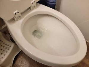 This toilet is bubbling when flushed.