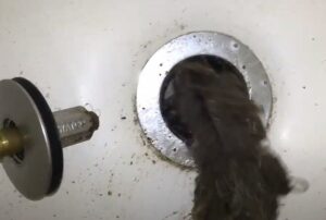 shower clogged with hair
